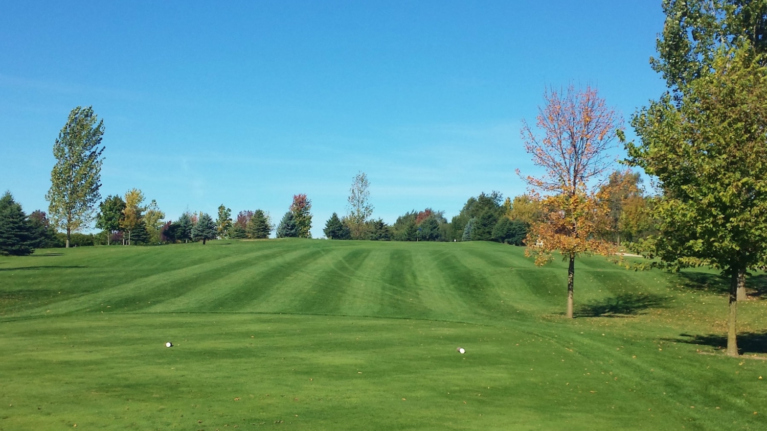 Hole 2 Pin Oak Pub & Links